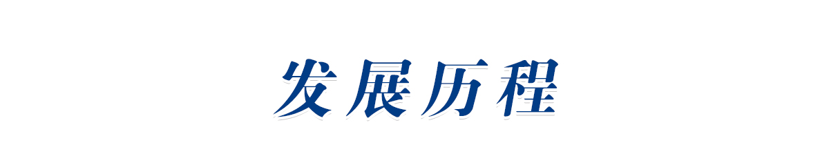 发展历程-1t.jpg